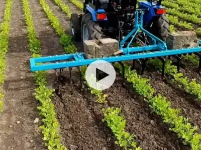 જમીન વેચવાની છે જમીન વેચવાની છે