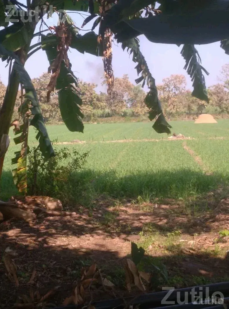 Agricultural Land for Sale with Well and Power - જમીન અને પ્લોટ - સુત્રાપાડા - Image 2