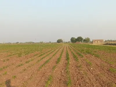 જમીન વેસવા ની છે જમીન વેસવા ની છે