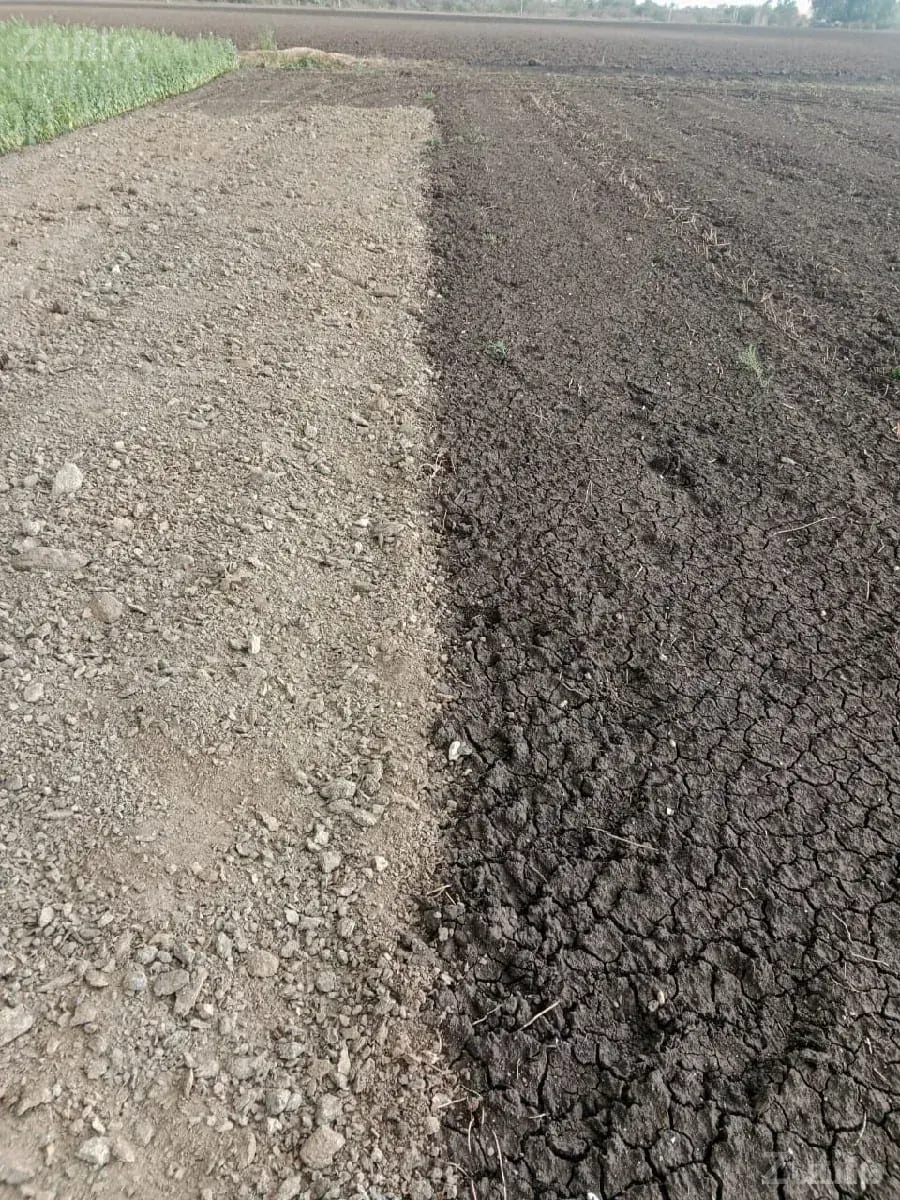 જમીન વેચવાની છે (ટાઈટલ ક્લિયર) - Land & Plots - Bhanvad - Image 3