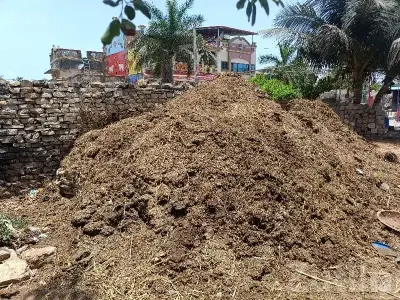 Organic Cow Manure Fertilizer Bulk Sale Organic Cow Manure Fertilizer Bulk Sale