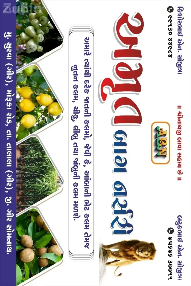 અમૃત બાગ નર્સરી - જમીન અને પ્લોટ - પાલનપુર - Image 2