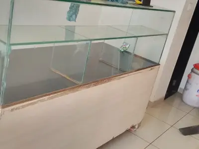 નાસ્તા હાઉસ