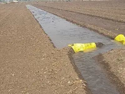 જમીન લેવા માટે મરો જમીન લેવા માટે મરો