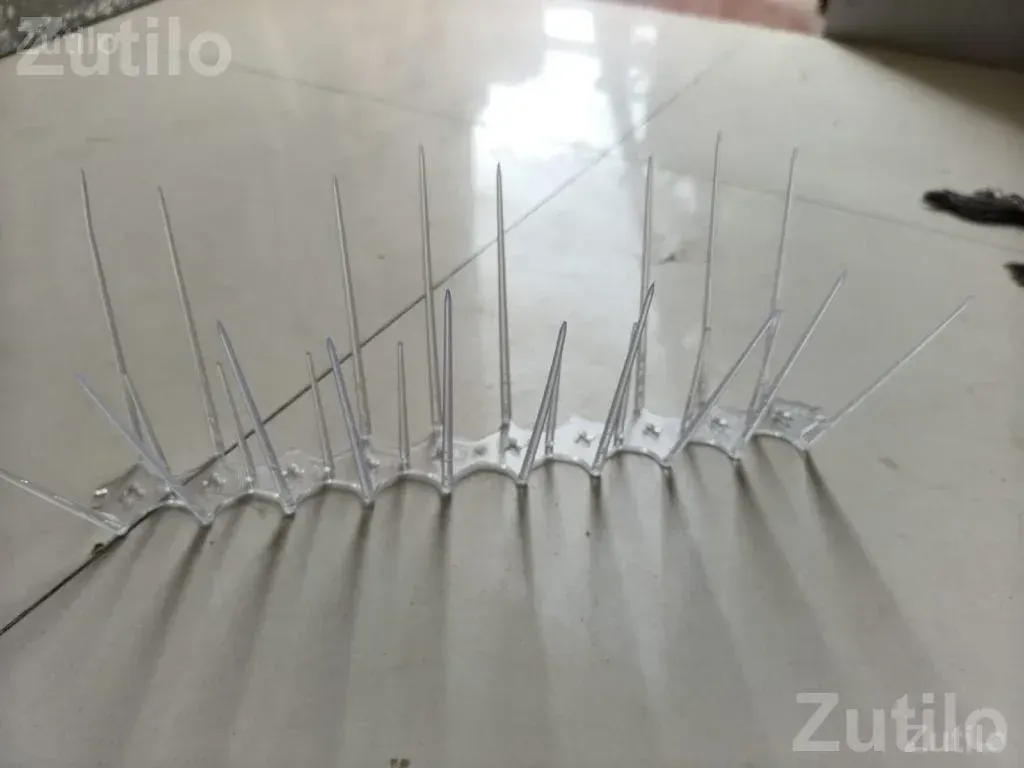 Invisible Pigeon Net for Balcony and Window - Home Repair - Ahmedabad City - Image 5