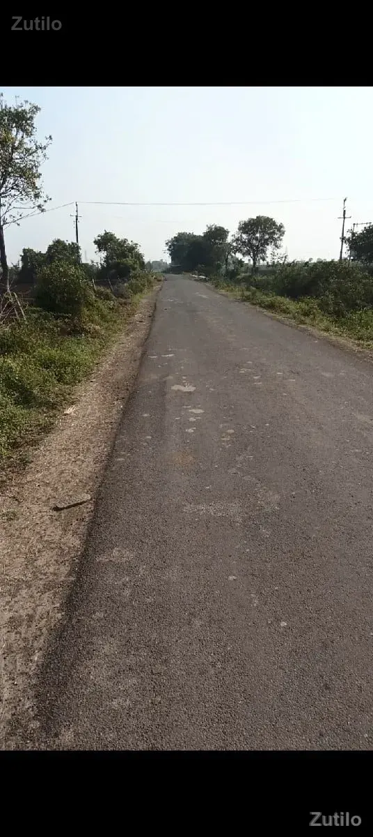 13 વીઘા જમીન - જમીન અને પ્લોટ - બાબરા - Image 2