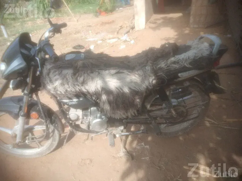 Black Hero Bike 2023 Model - Bikes - Petlad - Image 2