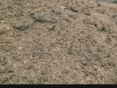 Well-Rotted Organic Manure for Farms Well-Rotted Organic Manure for Farms