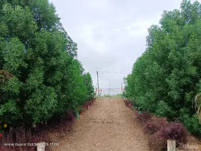 વેચવા વેચવા