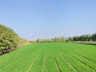 જમીન વેચવાની છે