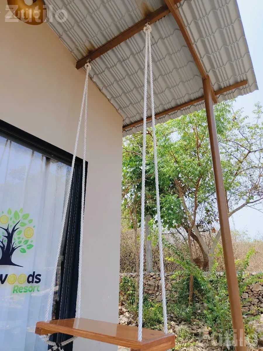 Kesar Mango Orchard Lease with 150 Trees - જમીન અને પ્લોટ - તલાલા - Image 2