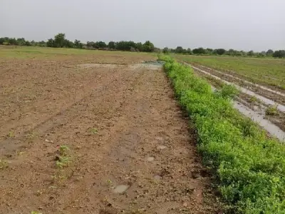 Fertile Agricultural Land Jamjodhpur Fertile Agricultural Land Jamjodhpur