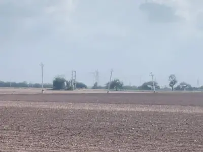 28 Vigha Road Touch Fertile Agriculture Land 28 Vigha Road Touch Fertile Agriculture Land