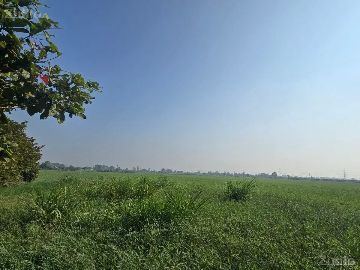 વેચવાનિ - જમીન અને પ્લોટ - કલાવડ - Image 2