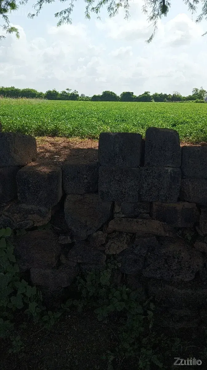 જમીન વેચવાની છે ભાઈ - Land & Plots - Dwarka - Image 3
