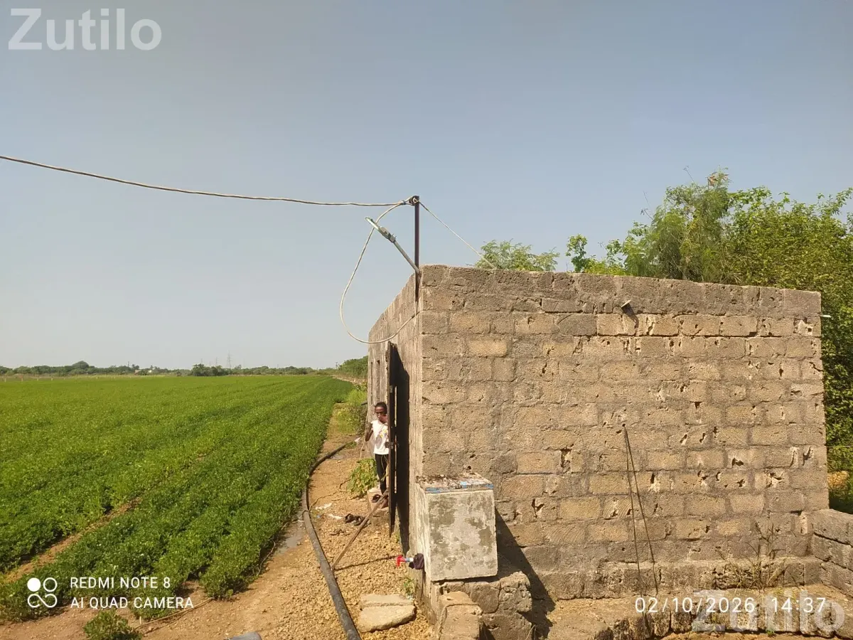 Land for sale - જમીન અને પ્લોટ - કેશોદ - Image 4