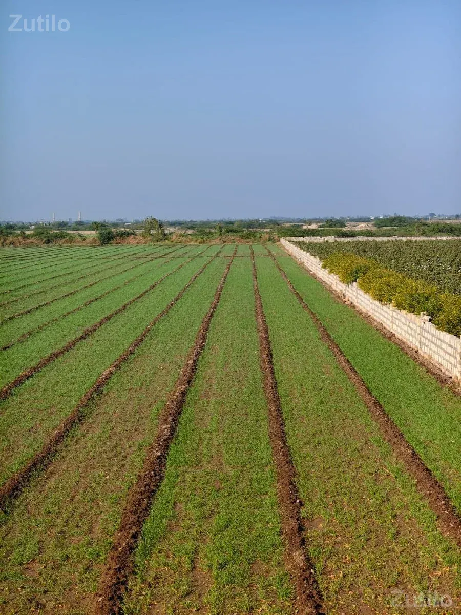 નેશનલ હાઇવેરોડ ટચ જૂની શરત ની જમીન - Land & Plots - Bhanvad - Image 2