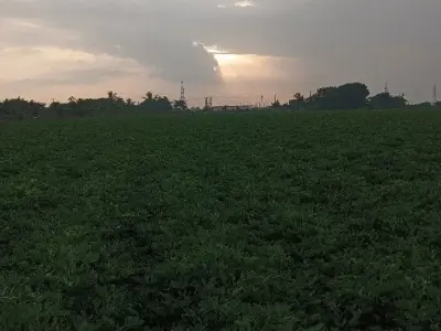 જમીન વેચવાની છે ભાઈ જમીન વેચવાની છે ભાઈ
