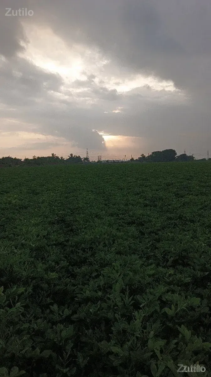 જમીન વેચવાની છે ભાઈ - Land & Plots - Dwarka - Image 1