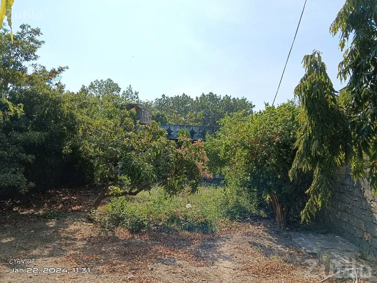 Corner Plot House for Sale in Adityana - House for Sale - Adityana - Image 3