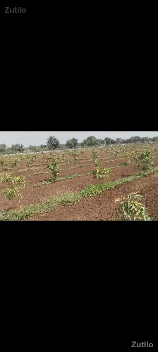 જમીન - Land & Plots - Somnath - Image 2