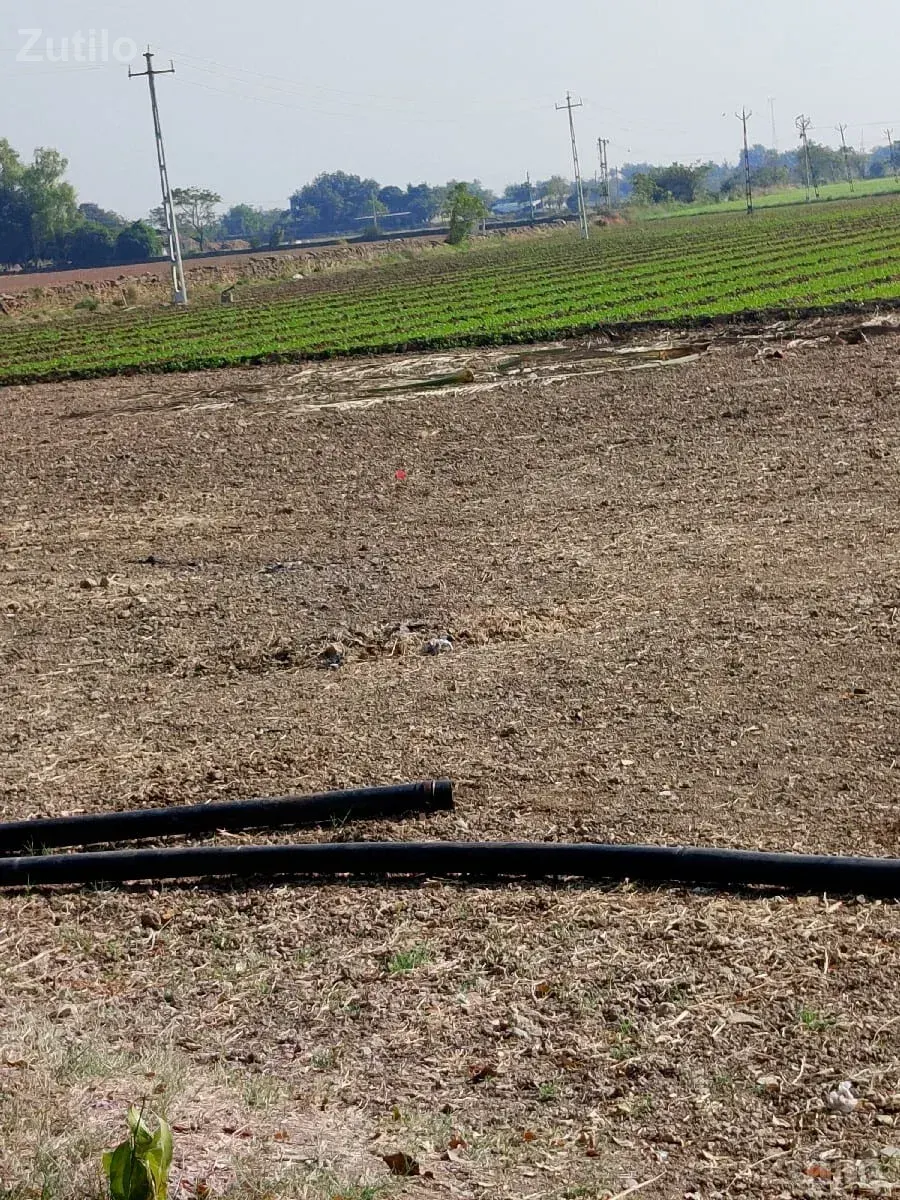 vesvani - Land & Plots - Vadodara City - Image 2