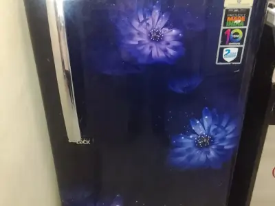 Fridge 2 years old Fridge 2 years old