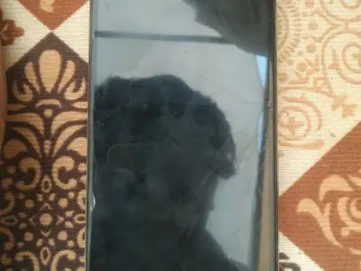 phon vesh va no se realme 14 x