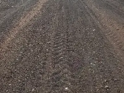 14.5 Vigha Agriculture Land Manavadar 14.5 Vigha Agriculture Land Manavadar