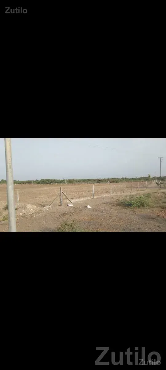 10 Bigha Road Touch Plot, Rajkot - જમીન અને પ્લોટ - રાજકોટ શહેર - Image 2