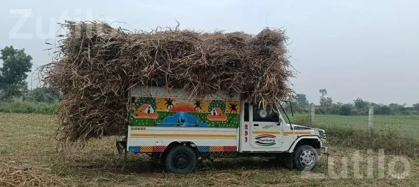 Mahindra Bolero Maxx Truck Plus 2013 - ટ્રક અને લોરી - ભાભર - Image 5