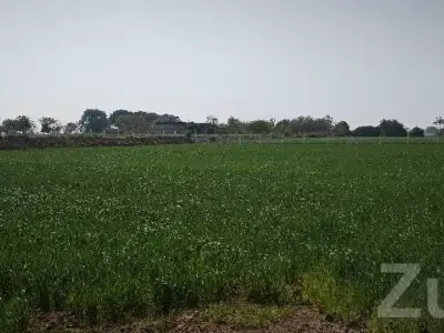 Fertile Agricultural Land for Sale Fertile Agricultural Land for Sale