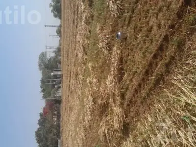 Agricultural Land Plot for Sale