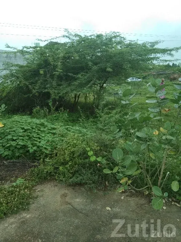 Dadhichi Township Residential Plot 107 Var - જમીન અને પ્લોટ - ભેસાણ - Image 2