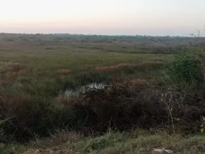 જમીન વેચવાની છે