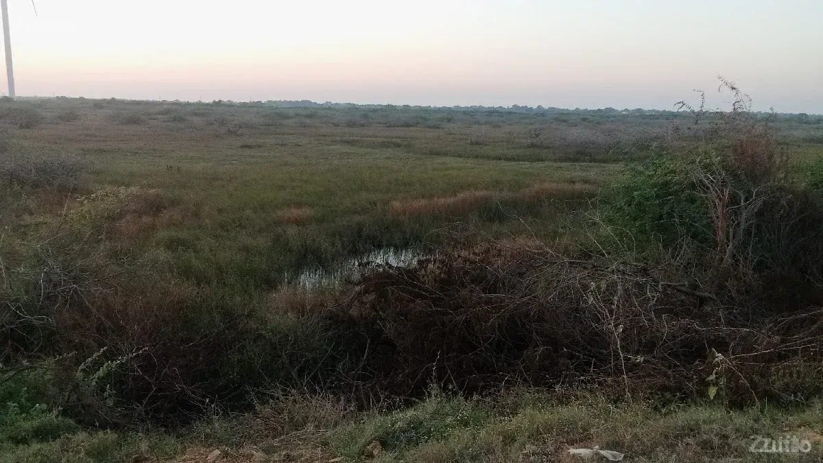 જમીન વેચવાની છે - Land & Plots - Dwarka - Image 1