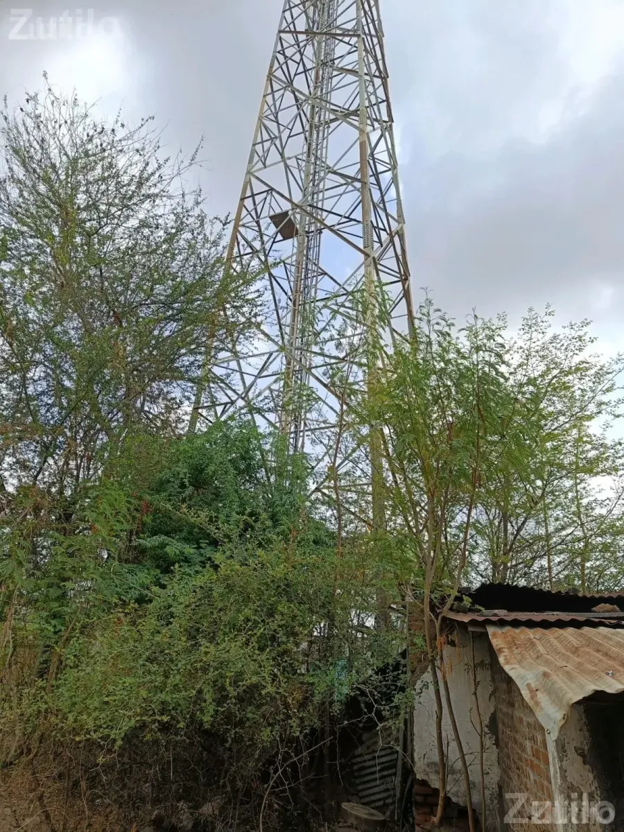 Non-Agricultural Road Touch Land 25000 Sq Ft - Land & Plots - Godhra - Image 2