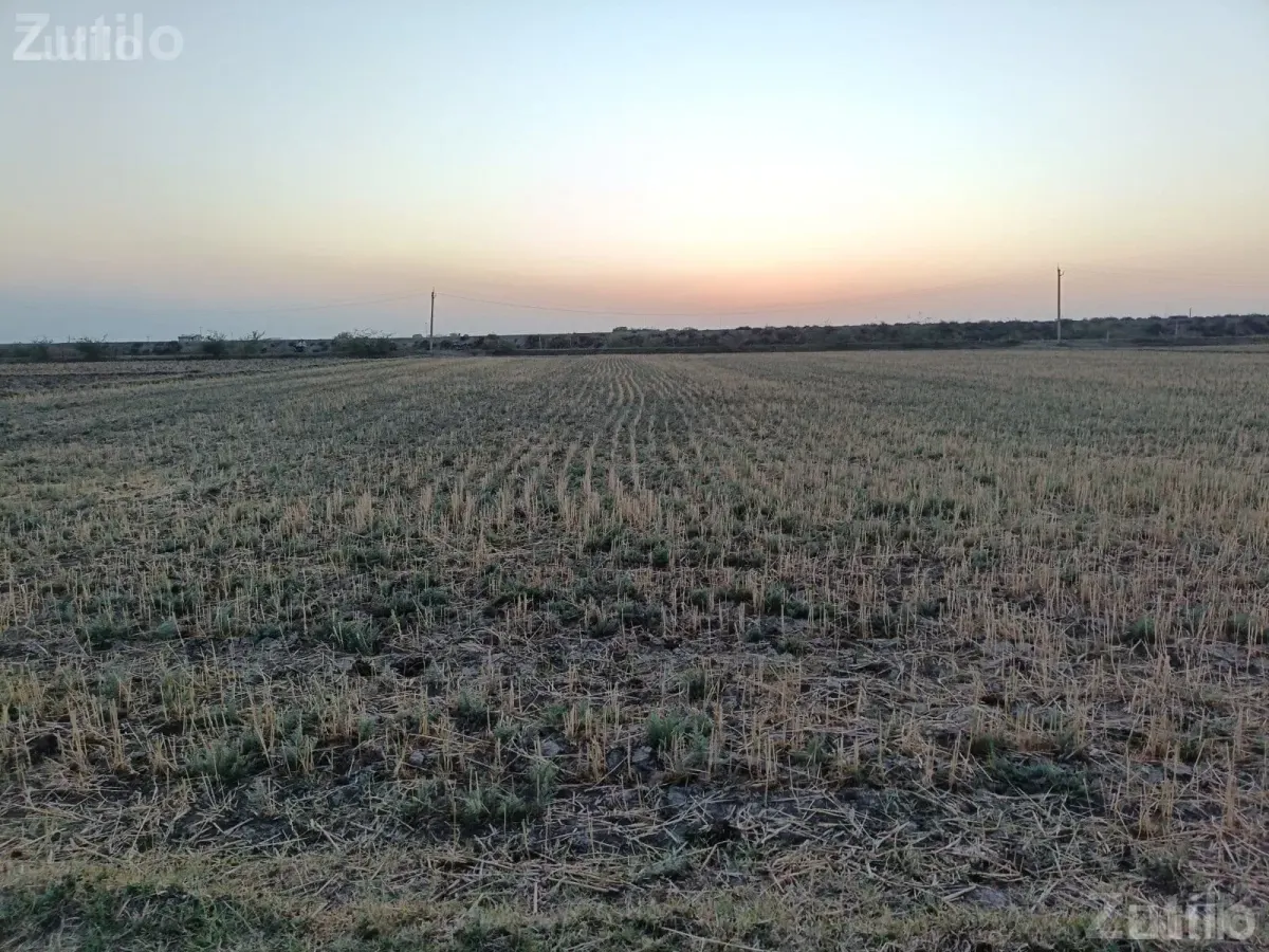 જમીન વેચવાની છે - Land & Plots - Khambhat - Image 3
