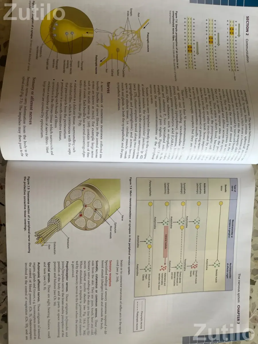 Ross and Willson Anatomy and physiology in health and illness 12 edition - કોલેજ પુસ્તકો - સુરત શહેર - Image 3