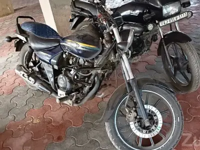 Bajaj Avenger 150 Street Bike for Sale Bajaj Avenger 150 Street Bike for Sale