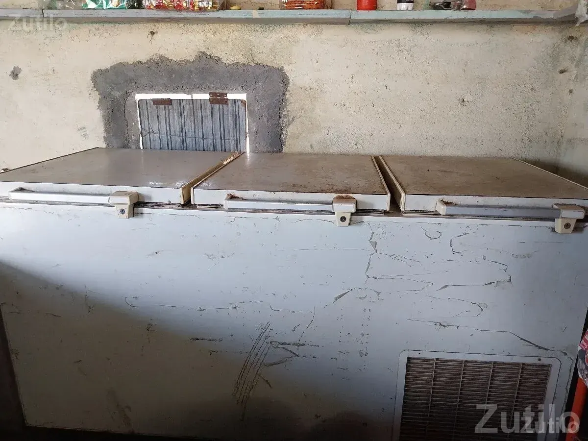 Used 3 Door Commercial Deep Freezer - Refrigerators - Bhanvad - Image 3