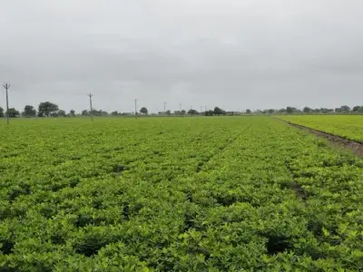 જમીન વેચાણ પાણીવારી જમીન વેચાણ પાણીવારી