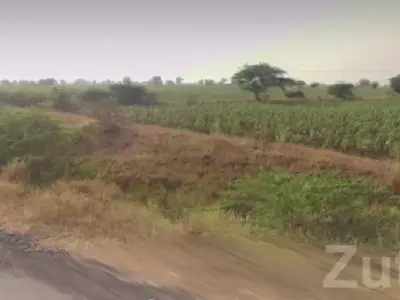 Savarkundla Roadside Farmland Plot for Sale Savarkundla Roadside Farmland Plot for Sale