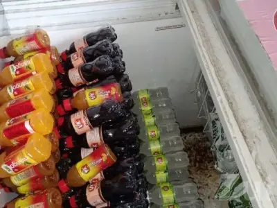 850L and 450L Refrigerators for Sale