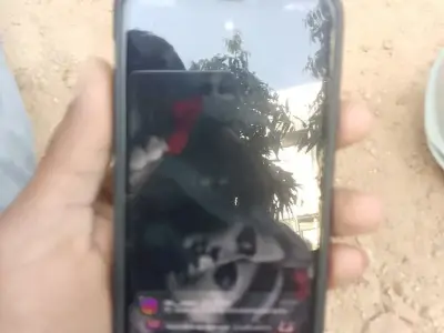Apple iPhone 12 Pro Smartphone Apple iPhone 12 Pro Smartphone