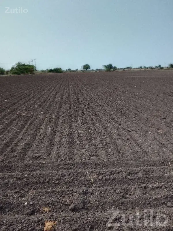 Fertile Agricultural Land for Sale - Land & Plots - Rajkot City - Image 1