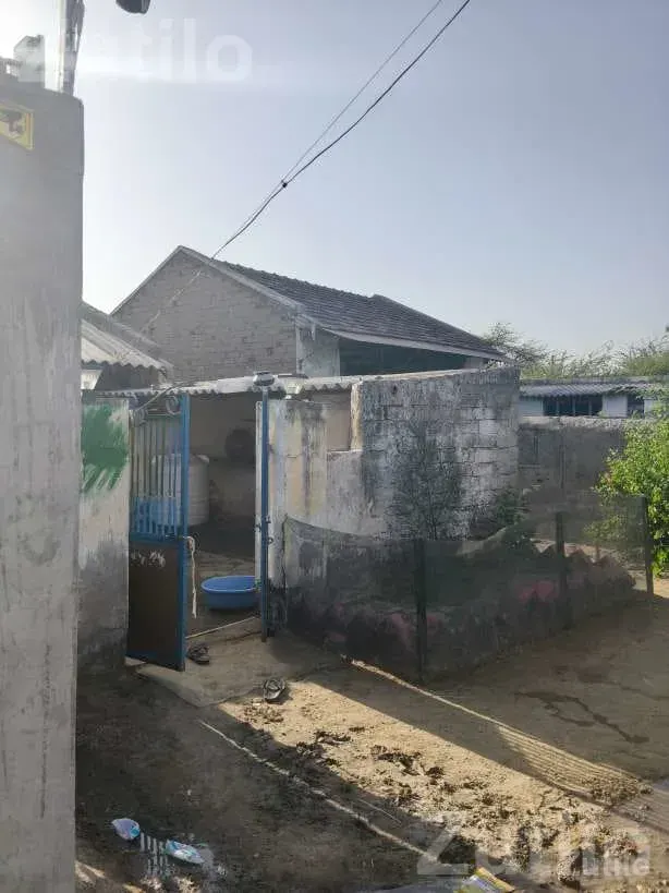 House for Sale with Open Space - House for Sale - Vav - Image 4
