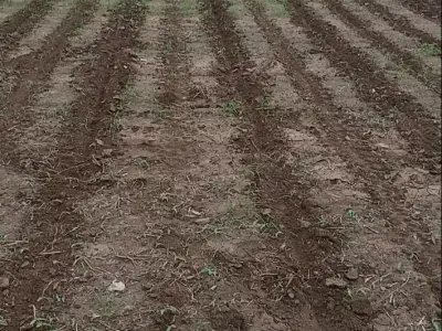 Experienced Farm Worker Needed