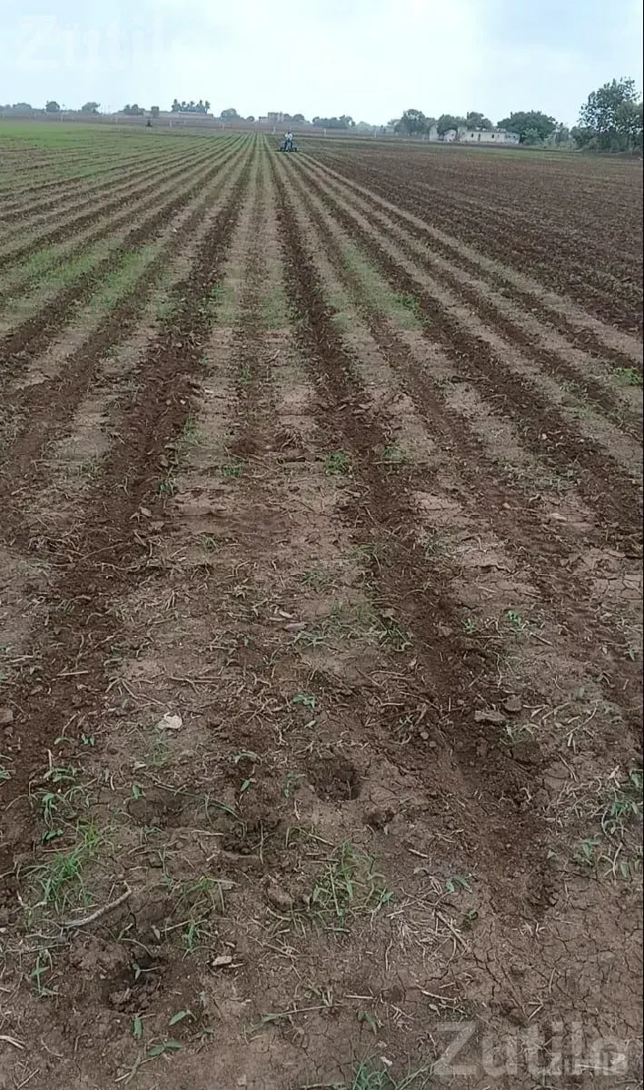 Experienced Farm Worker Needed - Labour / Helper - Junagadh City - Image 1