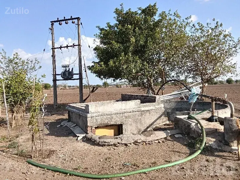 Gondal Roadside Agricultural Land Plot - જમીન અને પ્લોટ - ગોંડલ - Image 2